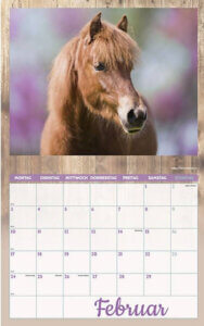 Wilma-Kalender
