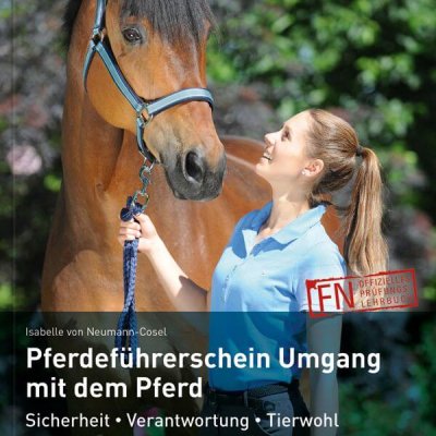 Pferdeführerschein Umgang