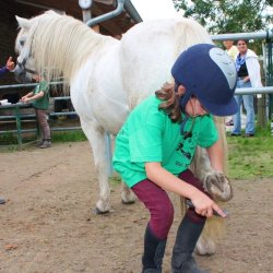 Beim Hufe auskratzen