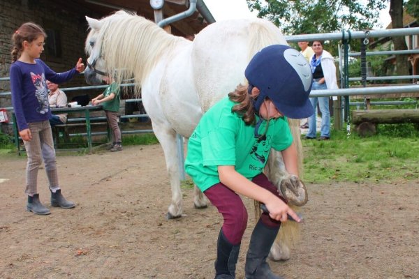Beim Hufe auskratzen