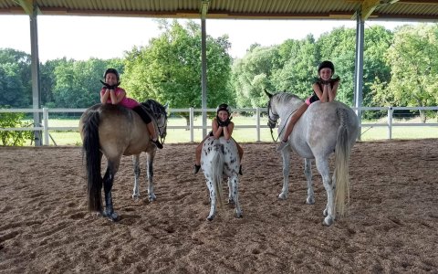 Reiten ohne Sattel