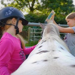 PonyPower-Vorbereitung